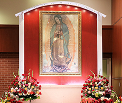 Our Lady of Guadalupe Feast Day